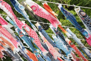 20180501koinobori4