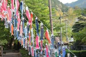 20180501koinobori5